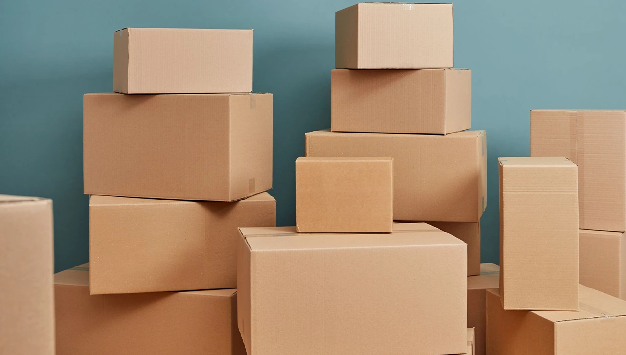 Die-Cut vs. Standard Boxes: Which One Fits Your Brand Best?